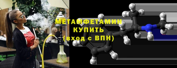 индика Ладушкин