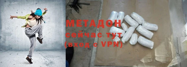 индика Ладушкин