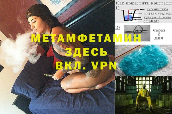 индика Ладушкин