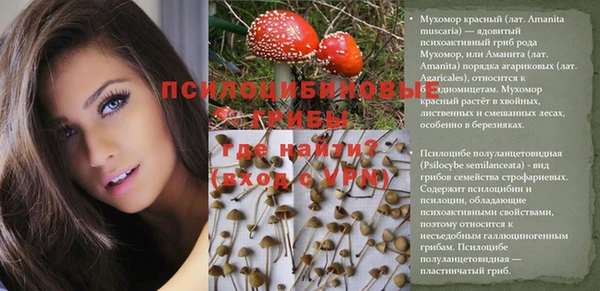 кокаин премиум Лабытнанги