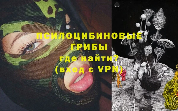 спиды Лагань