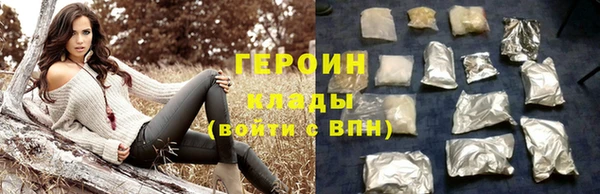 индика Ладушкин