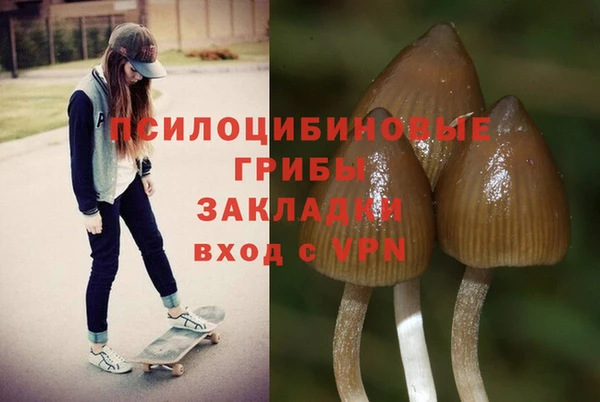 соль ск Магас