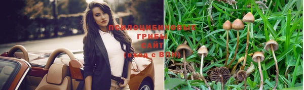 индика Ладушкин