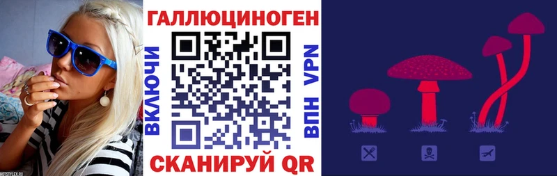 Псилоцибиновые грибы MAGIC MUSHROOMS Злынка