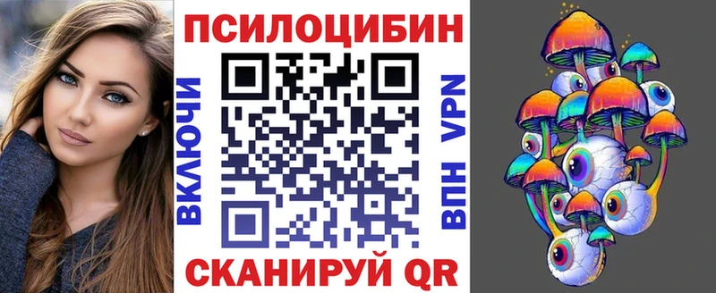 как найти   Злынка  Псилоцибиновые грибы Psilocybe 